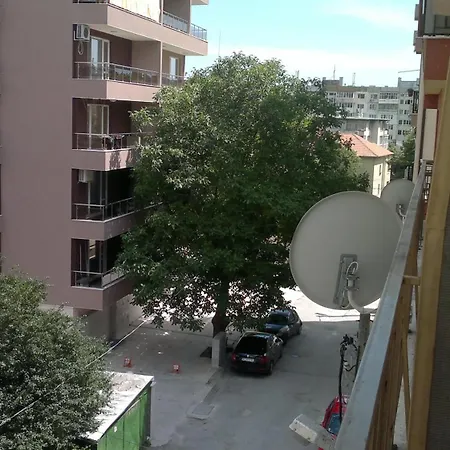 студио алекс Warna