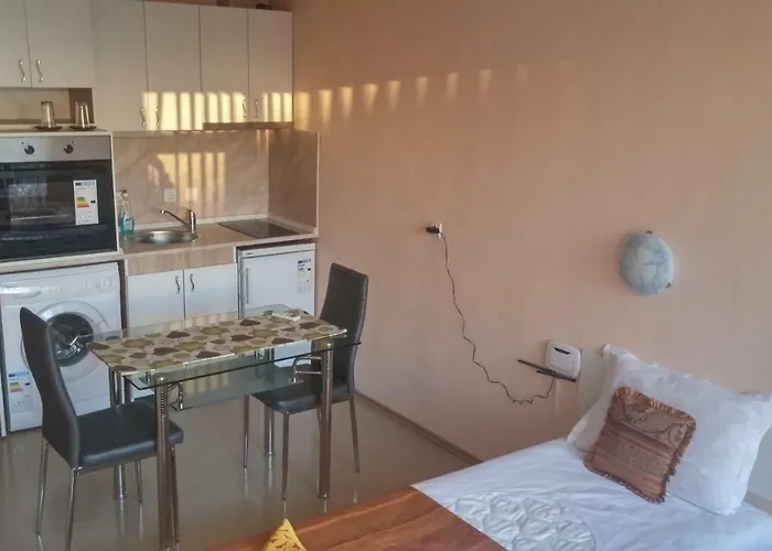 студио алекс Daire