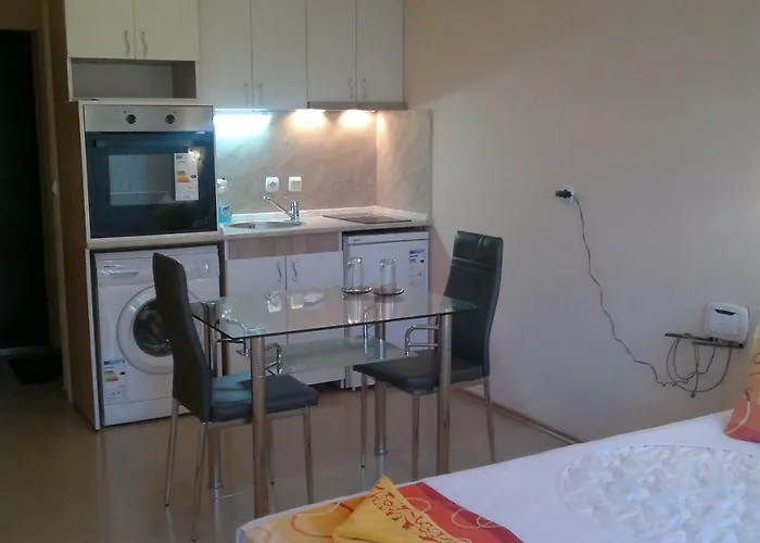 студио алекс Daire